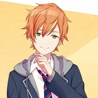 Custom profile Akito