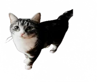 Nibbleton
