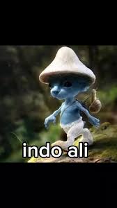 Indo ali
