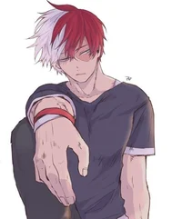 Shoto Todoroki