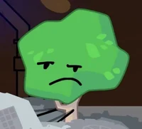 TREE TPOT AND BFB