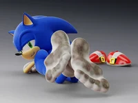Sonic feet