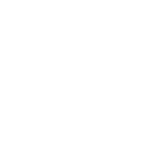 Pokemon Game