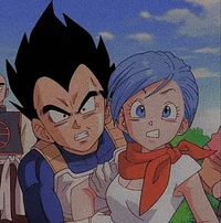 Vegeta and Bulma