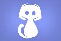 your discord kitten