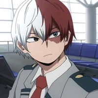 Shoto Todoroki