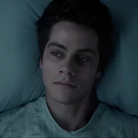 Void Stiles