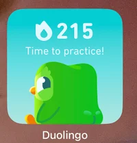 Duo