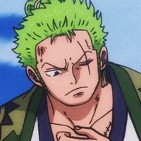 Zoro - ZONAMI