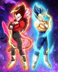 Vegeta andXenoVegeta