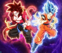 Goku and Xeno Goku