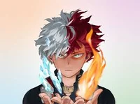 Totoroki 