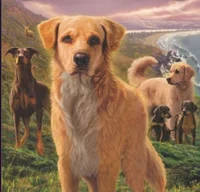 Survivor dogs rp