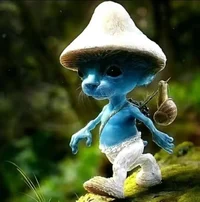 Smurf Cat 