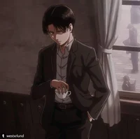 Levi  Period Comfort