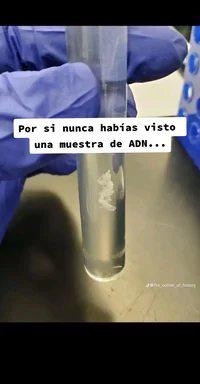 Vaso con Agua 
