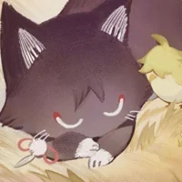 Scarameow little cat