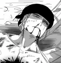 Zoro machucado 