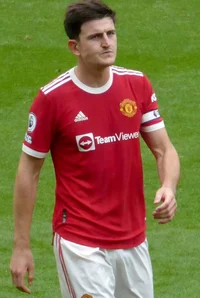 lord harry maguire