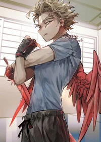 Hawks bf