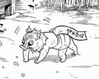Baby inosuke