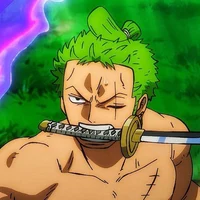 Zoro - ZOSAN