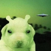 El perro Alien 