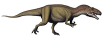allosaurus 3333