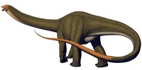 apatosaurus v