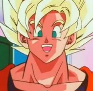 TFS Goku