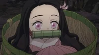 Nezuko Kamado 