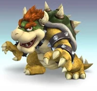 Ssbb bowser roleplay