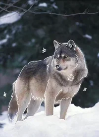Therian wolf
