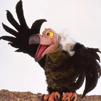 Guffrey the Vulture