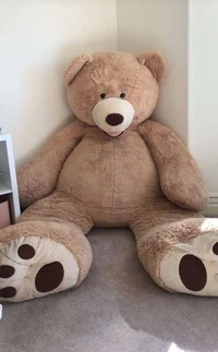 Teddy bear