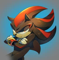 Shadow the hedgehog