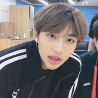 Torbaci Hyunjin