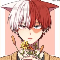 Shoto Todoroki cat