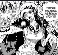 Female law
