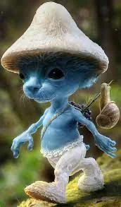 Smurf cat