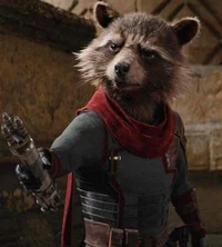 Rocket Raccoon 