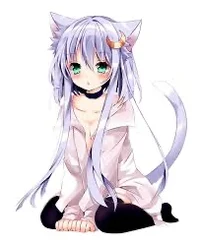 Neko Anime Sus Girl