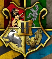 Hogwarts Baby
