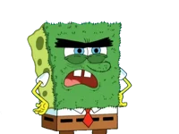 Sponge aggressive