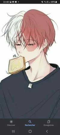 Shoto todoroki