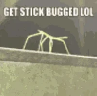 Get stick bugged lol