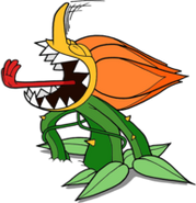 Cagney Carnation
