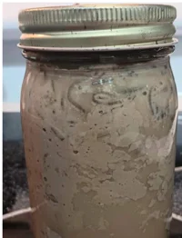 Jar of nasty 