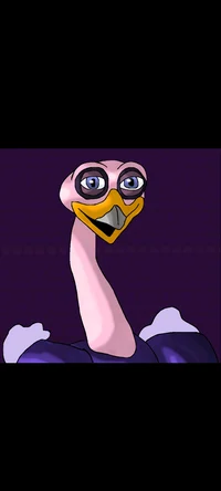 Ozzie the ostrich 