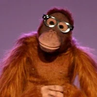 Jackie the Orangutan